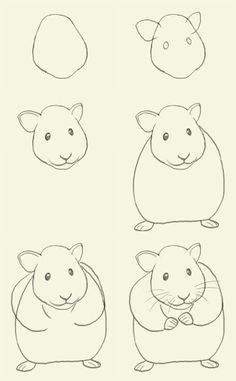 Drawing Easy Hamster 13 Best Draw Hamsters Images Drawing Tutorials Easy Drawings