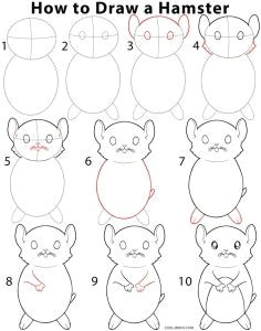 Drawing Easy Hamster 13 Best Draw Hamsters Images Drawing Tutorials Easy Drawings