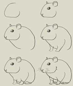 Drawing Easy Hamster 13 Best Draw Hamsters Images Drawing Tutorials Easy Drawings