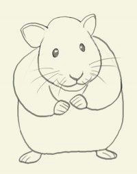 Drawing Easy Hamster 13 Best Draw Hamsters Images Drawing Tutorials Easy Drawings