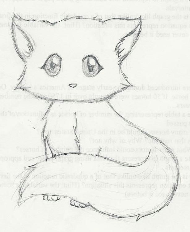 Drawing Easy Kitten This is A More Detailed Drawing Of A Kitten In the Gallery Im