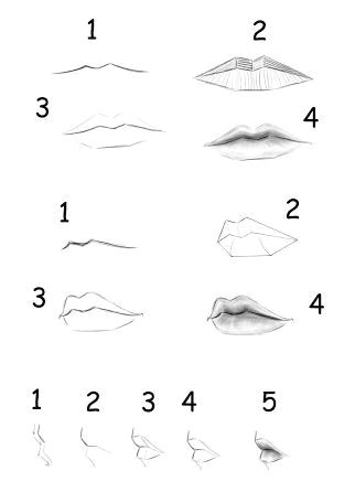 Drawing Easy Mouth How to Draw Lips Step by Step for Beginners Google Search