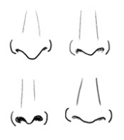 Drawing Easy Nose How to Draw A Nose and the Face Drawing Tutorials Drawing How