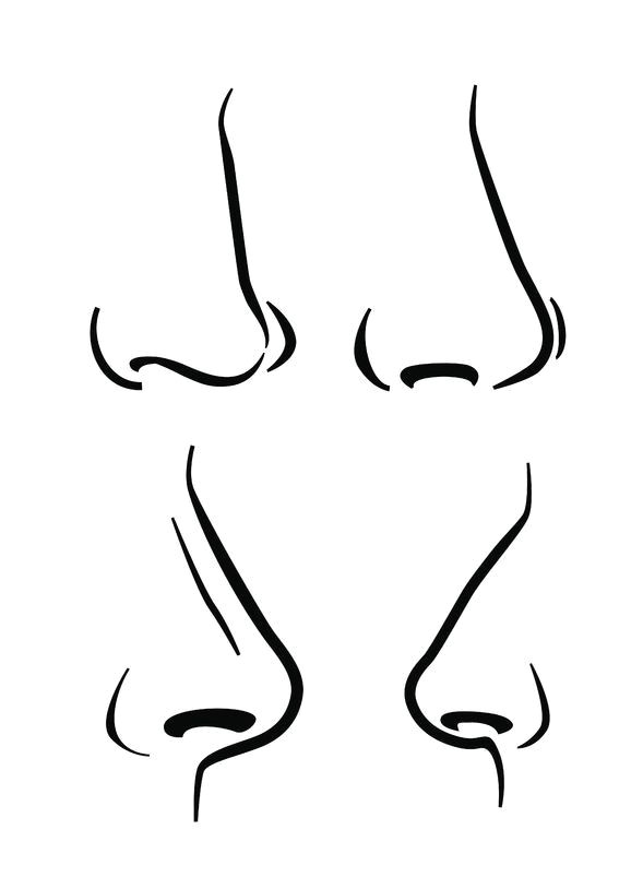 Drawing Easy Nose How to Draw Expressive Noses Www Drawing Made Easy Com Noses