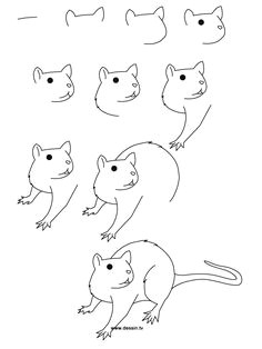 Drawing Easy Rat 128 Best Rats Love Doodles Images In 2019