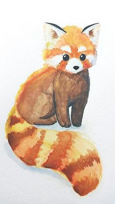 Drawing Easy Red Panda 179 Best the original Panda Images Red Pandas Panda Love Red