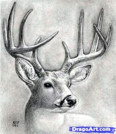 Drawing Easy Reindeer 199 Best Deer Sketches Images Deer Sketch Deer Drawing