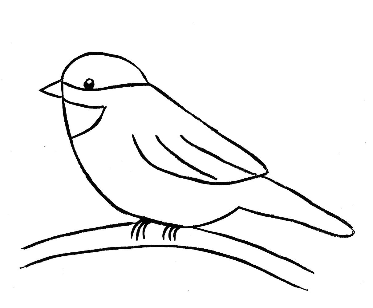 Drawing Easy Rock How to Draw A Bird Step by Step Easy with Pictures Birds