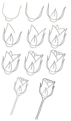 Drawing Easy Roses Step by Step How to Draw A Rose Dr Odd
