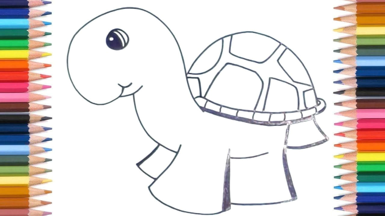 Drawing Easy Turtles How to Draw Turtles for Kids Easy Kids Easy Drawing Tutorials