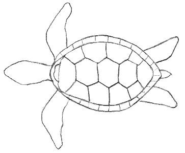 Drawing Easy Turtles Turtle Outline Diy Crafts Pinterest Drawings Turtle Outline