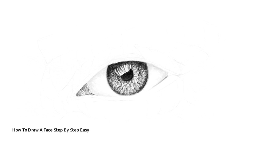Drawing En Eye How to Draw A Face Step by Step Easy I Pinimg 750x 56 Af 0d