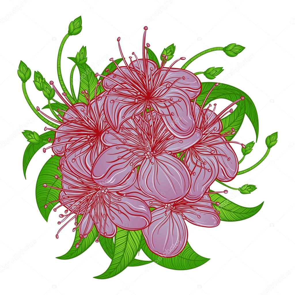 Drawing Exotic Flowers Bouquet Of Exotic Flowers Colorful Tropical Flowers and Leaves