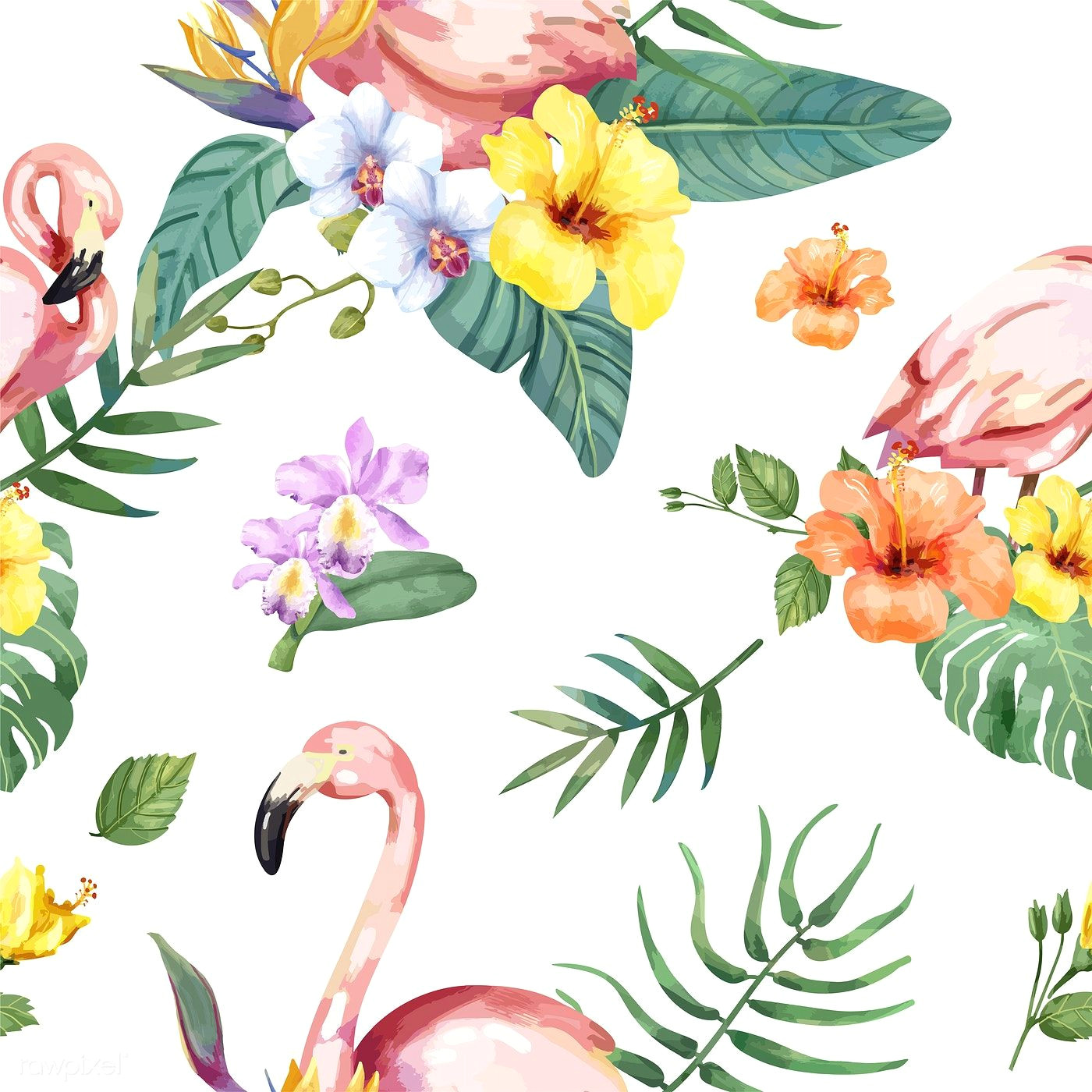 Drawing Exotic Flowers Hand Drawn Flamingo Bird with Tropical Flowers Premium Image by