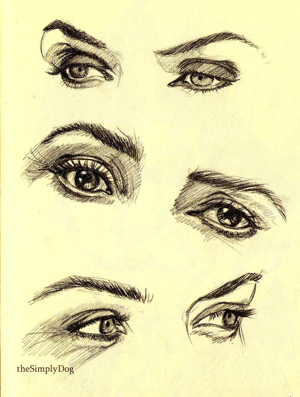 Drawing Eye Anatomy Kate Winslet Pencil Drawing Art Reference Art Draw