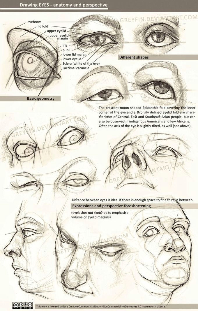 Drawing Eye Basics Realistic Drawing Reference Dump Zbrush Anatomy Pinterest
