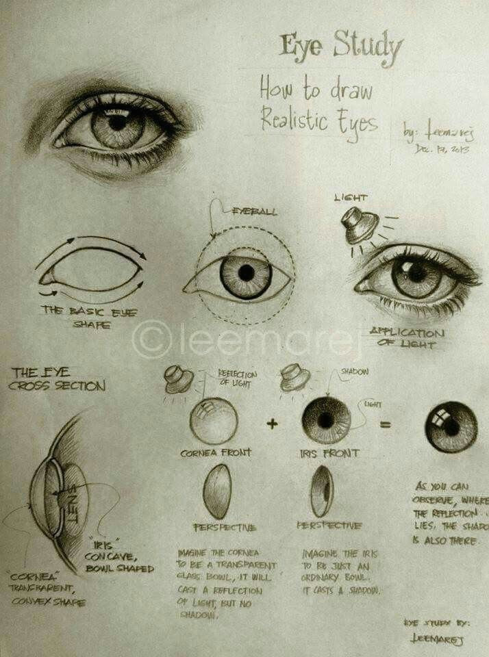 Drawing Eye Highlights Pin by Maria De La torre On How to Draw Eyes Drawings Art Art