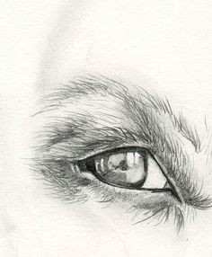 Drawing Eye Horror 121 Best Reflections Images Eyes Reflection Draw Eyes