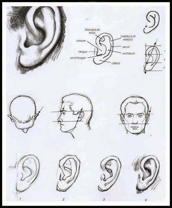 Drawing Eye Nose Mouth Pin by O O U U O U Oao U U O U U U U On Pencil Art Drawings Art How to Draw Ears