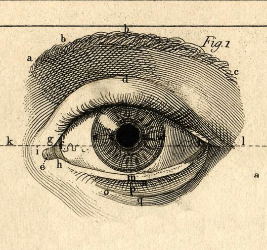 Drawing Eye Of the Storm Paul Bert L Annee Preparatoire D Enseignement Scientifique 1887
