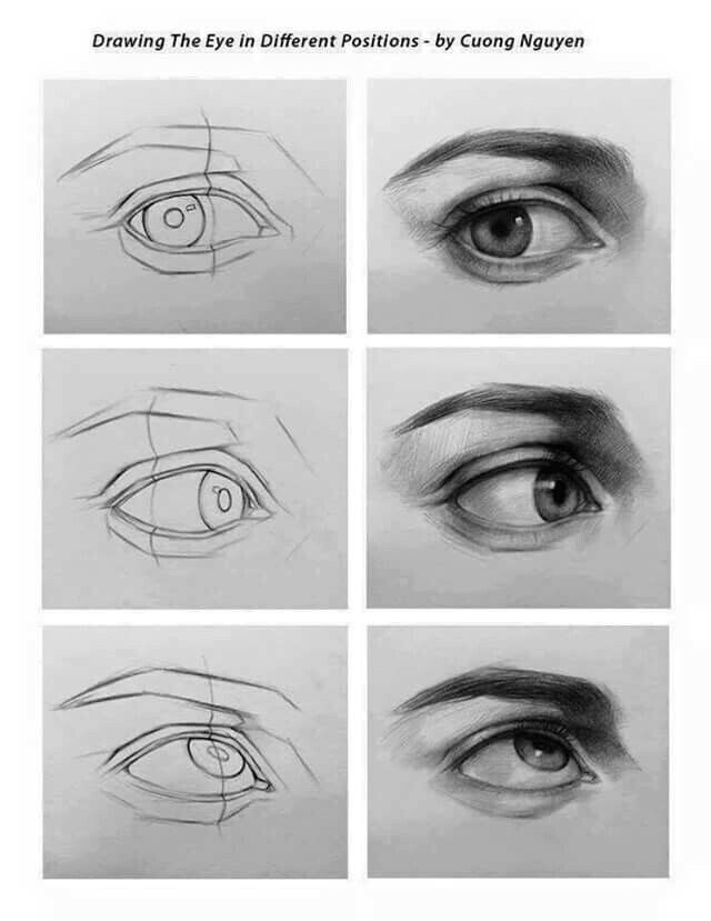 Drawing Eye Position Pin by Shosho Rak On O O U O U O U U O U U U O U O Oµo Oµ Pinterest Drawings