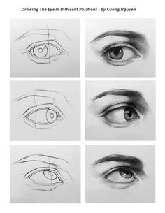 Drawing Eye Proportions 25 Best Realistic Eye Drawing Images Drawing Techniques Pencil