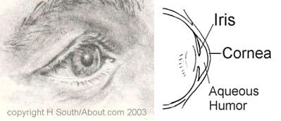 Drawing Eye sockets Sketching Tips How to Draw Expressive Eyes