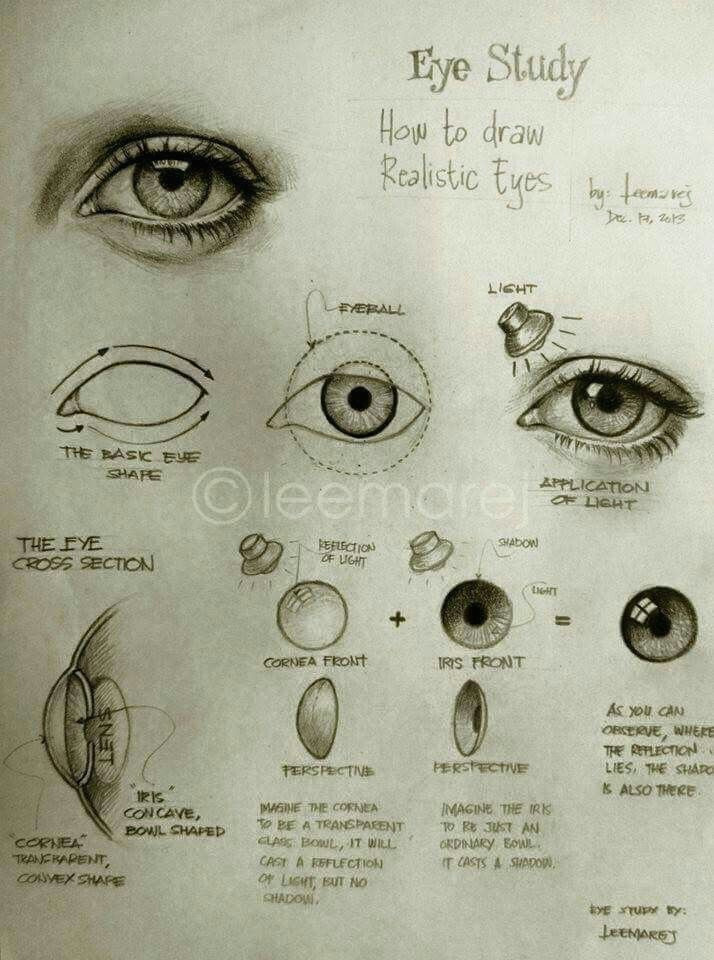 Drawing Eye Study Pin by Maria De La torre On How to Draw Eyes Drawings Art Art