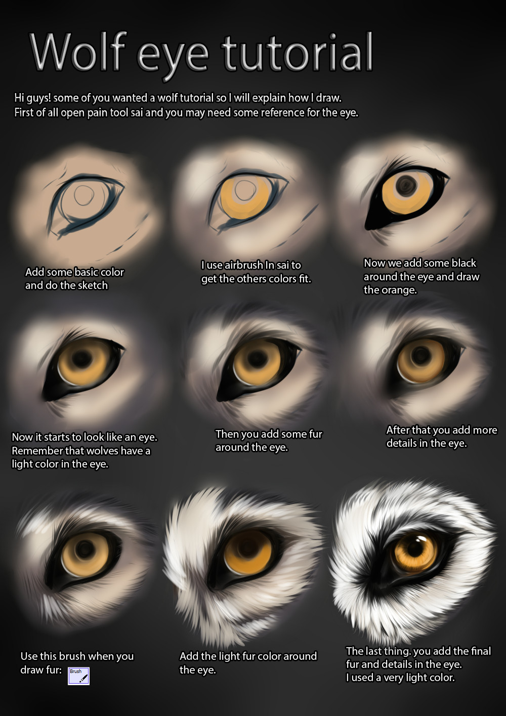 Drawing Eye Wolf Wolf Eye Tutorial by themysticwolf Deviantart Com On Deviantart