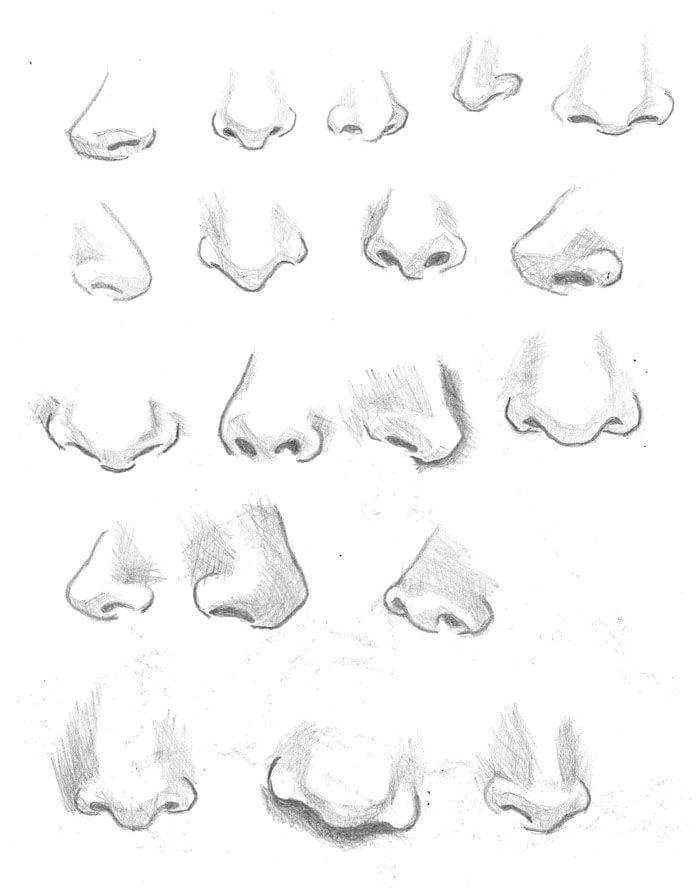 Drawing Eyes and Noses How to Draw Noses Arts Crafts and Diy Nose Drawing Drawings