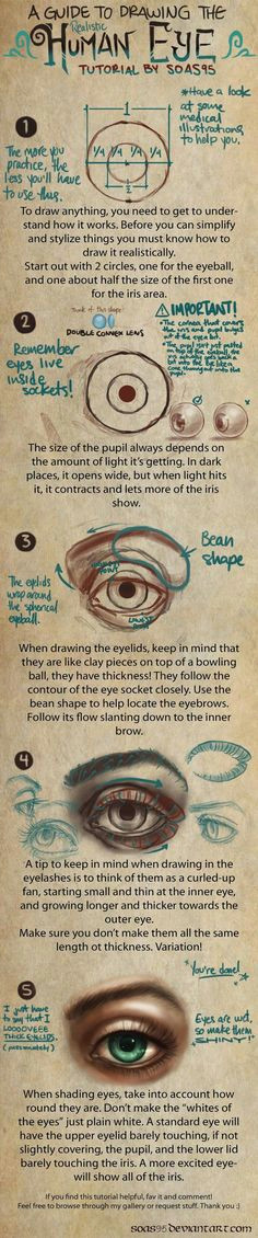 Drawing Eyes Chart 14 Best Human Eye Drawing Images Paintings Painting Drawing