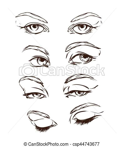 Drawing Eyes Clipart Hand Drawn Women S Eyes Vintage Vector Illustration Fashion Design