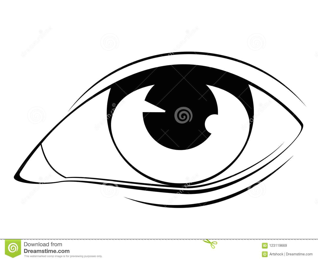 Drawing Eyes Clipart Human Eye In Black and White Stock Vector Illustration Of Eyeball