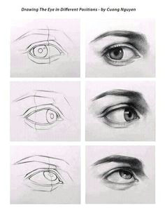 Drawing Eyes Exercise 645 Best Portraiture Images Drawing Techniques Drawing Tutorials