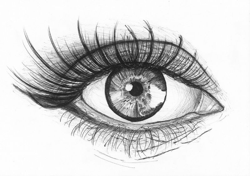 Drawing Eyes In Illustrator Eye by Billie Juniper Waugh Billie Juniper Waugh Pinterest