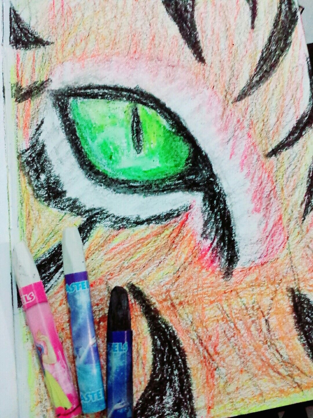 Drawing Eyes In Pastels Loin Eye Oil Pastel Drawing My Art Work Pinterest Oil Pastel
