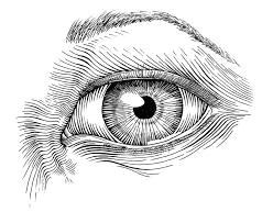 Drawing Eyes In Pen Resultado De Imagen Para Pen Sketches Of Nature Moleskine C E A E