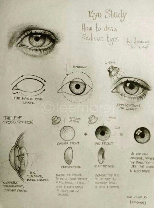 Drawing Eyes In Perspective How to Draw Realistic Eyes Pix Pinterest Realistic Eye