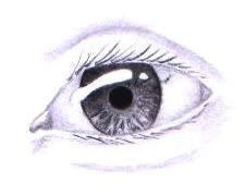 Drawing Eyes Need How to Draw Realistic Eyes Drawing Tutorials People Drawings