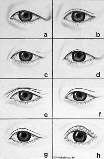 Drawing Eyes On Eyelids 89 Best asian Eyes Images Drawings asian Eyes Drawing Faces