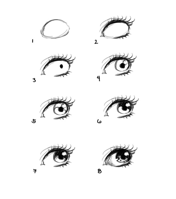 Drawing Eyes On Eyelids How to Draw Eye Portrait Step by Step Eyeballs Drawings Art