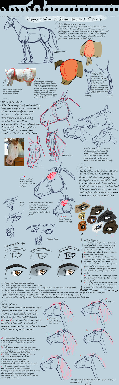 Drawing Eyes Tutorial Deviantart How to Draw Horses Tutorial by Ladypep On Deviantart