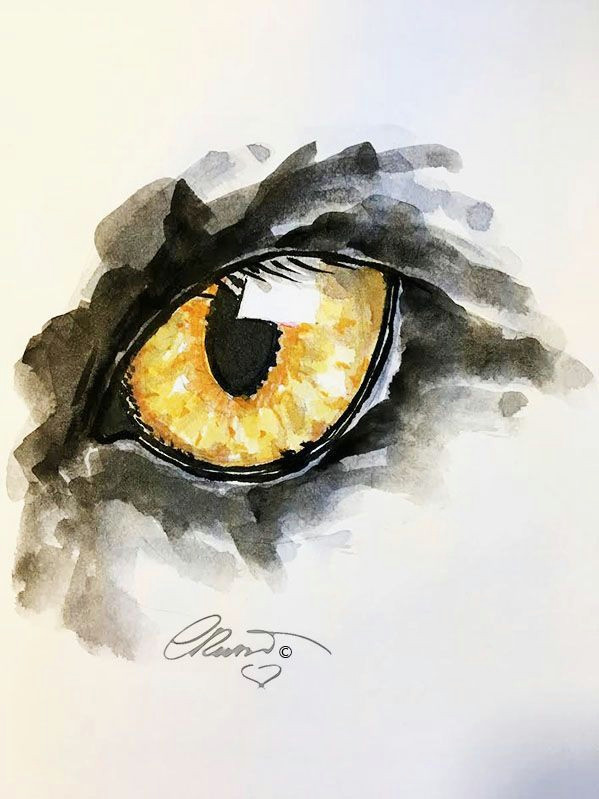 Drawing Eyes Watercolor Art Inspiring Magic Watercolorarts Splash the World with A Lil