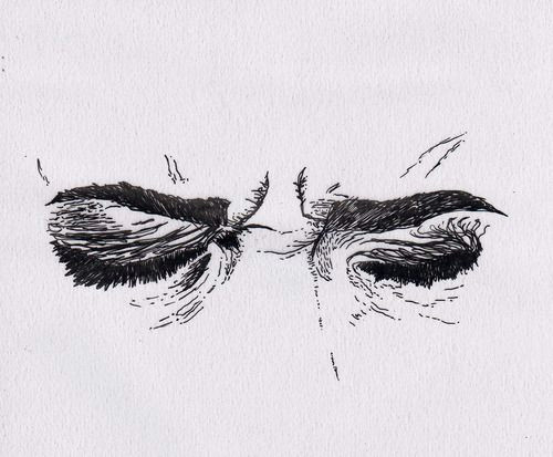 Drawing Eyes with Emotion F O R E V E R All Things Beauty Drawings Art Art Drawings