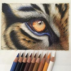 Drawing Eyes with Pastels 932 Best Art Drawing Pastel Images In 2019 Pencil Drawings