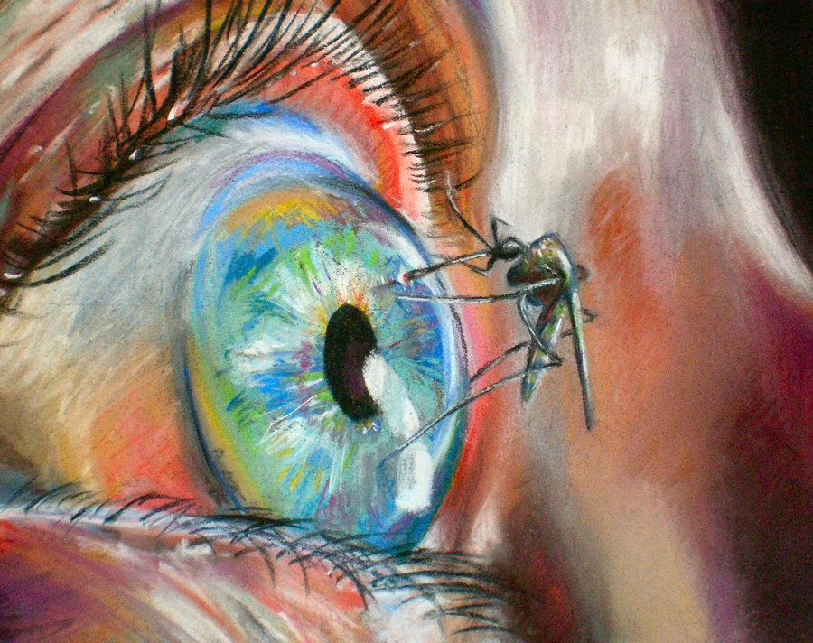 Drawing Eyes with Pastels Sara Herrmann Artiste Pinterest Eyes Eye Art and Art
