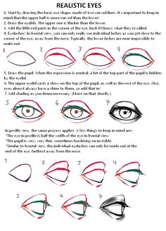 Drawing Eyes Worksheet 69 Best Anatomy Eyes Images Drawing Tutorials Drawing Tips
