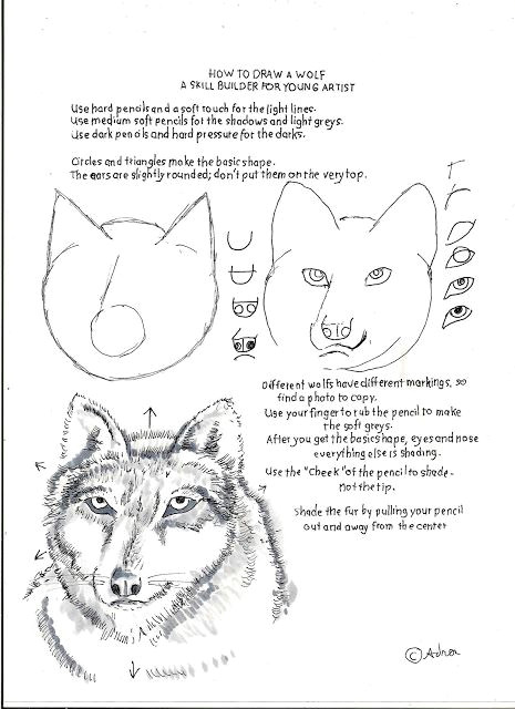 Drawing Eyes Worksheet How to Draw Worksheets for the Young Artist How to Draw A Wolf A