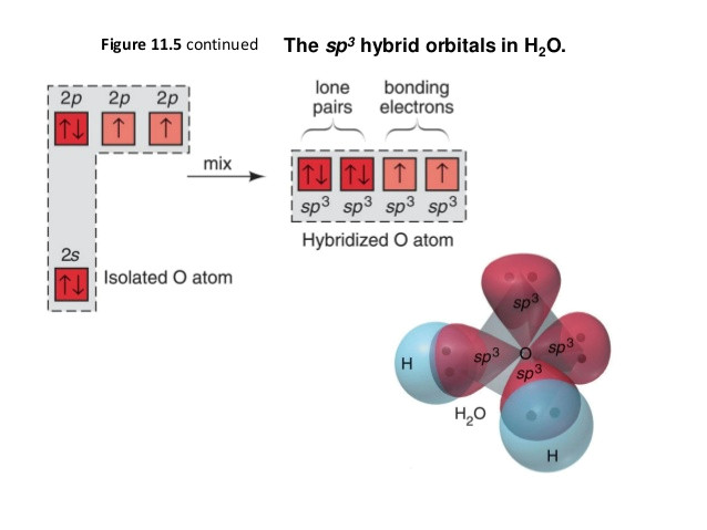 Drawing F orbitals Chemical Bonding Of H2o Wikipedia