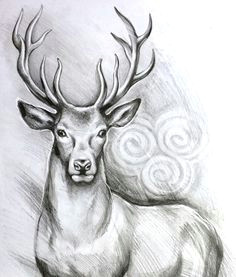 Drawing Fake Dogs Deer Head by Linnwarme Deviantart Com On Deviantart Pretty